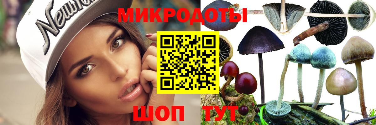 где купить   Вход с VPN  Кудрово  Галлюциногенные грибы мухоморы 